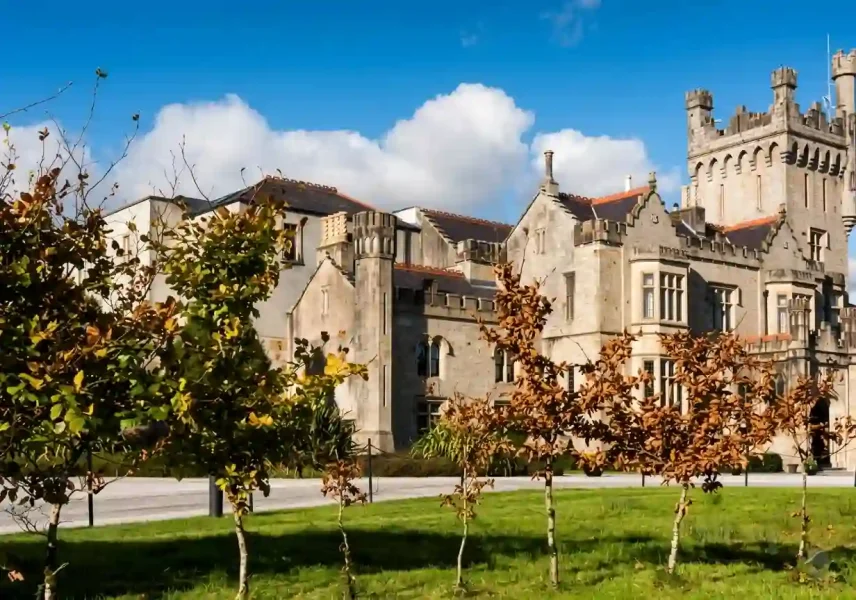 A historic stone castle with tall towers and detailed architecture stands behind a row of small trees with autumn leaves, under a bright blue sky with scattered white clouds.